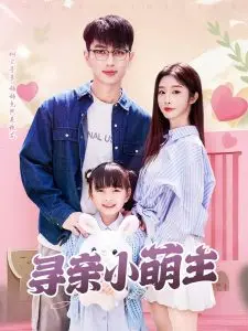 《寻亲小萌主》：温馨感人，萌娃寻亲之旅的欢笑与泪水