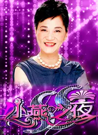 《SS小燕之夜》：经典访谈，见证时代的印记