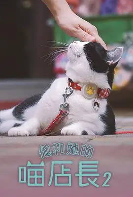 《他和她的喵店长2粤语》：萌宠治愈，都市爱情再升级