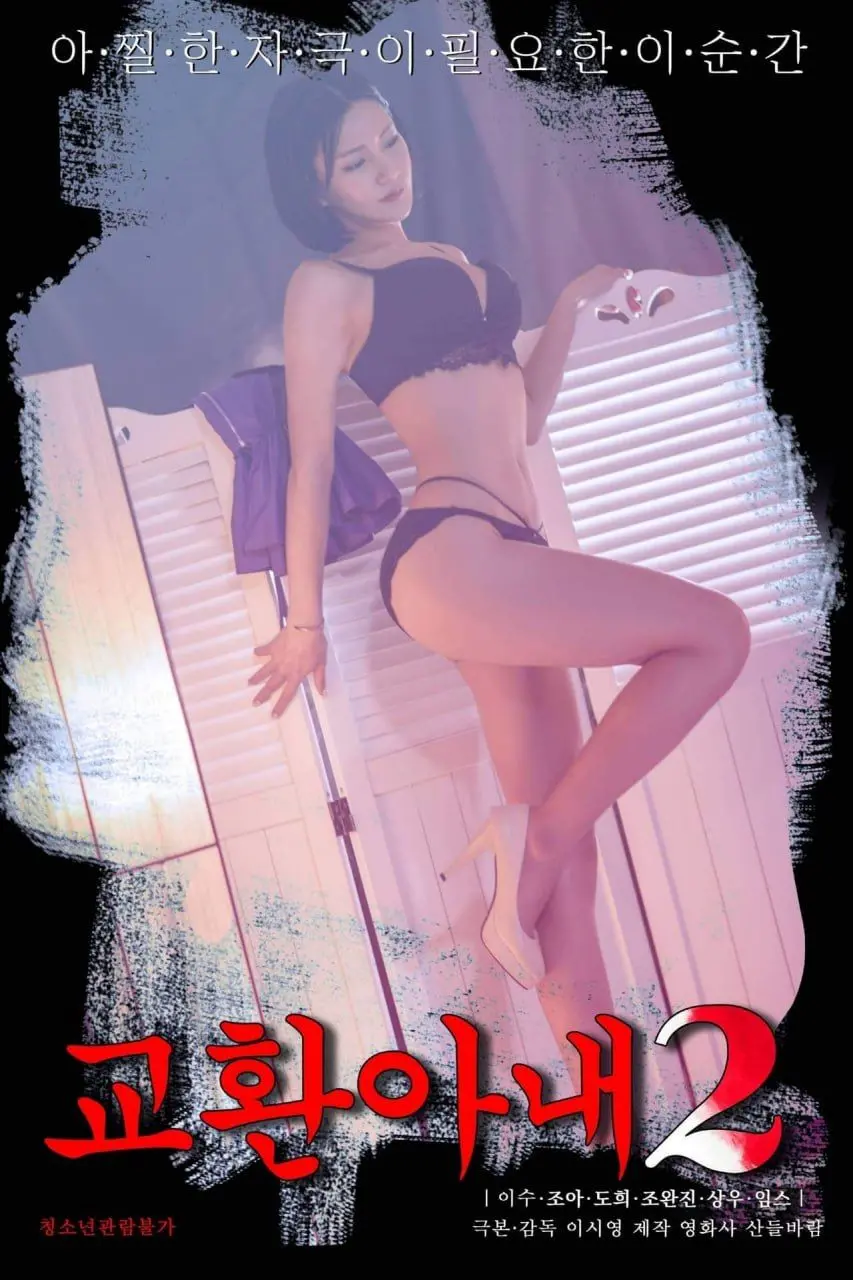 《交换妻子2》：婚姻过招，情感大洗牌！当生活被彻底打乱，你会找回初心还是走向失控？